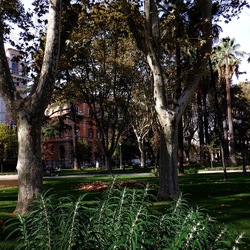 ROMA fotografie di Giulio Azzarello &copy;2022.