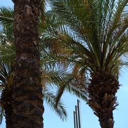 SAN VITO LO CAPO. Fotografie di Giulio Azzarello &copy;2023.