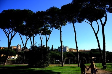 PARCO ARCHEOLOGICO DEL PALATINO Roma. Fotografie di Giulio Azzarello ©2020.