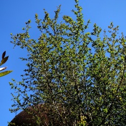 Arabo Normanno. Fotografie di Giulio Azzarello ©2024. Arabo Normanno. Fotografie di Giulio Azzarello ©2024.