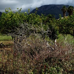 CAMMINANDO. Fotografie di Giulio Azzarello &copy;2024.