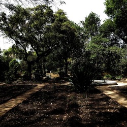 ORTO BOTANICO. Fotografie di Giulio Azzarello &copy;2024.