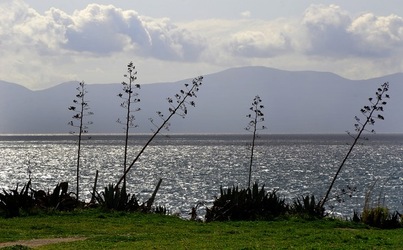 TERRASINI in Sicilia. Fotografie di Giulio Azzarello &copy;2018.