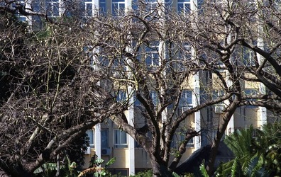 ORTO BOTANICO di Palermo. Fotografie di Giulio Azzarello ©2021.