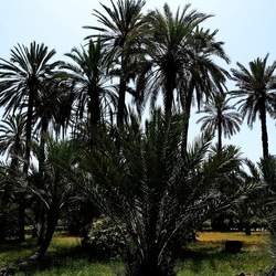 PALERMO. Fotografie di Giulio Azzarello &copy;2022.
