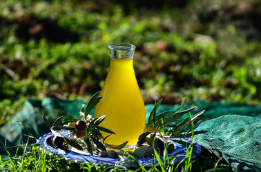 ULIVETO in autunno. Fotografie di Giulio Azzarello ©2014. ULIVETO in autunno. Fotografie di Giulio Azzarello ©2014.