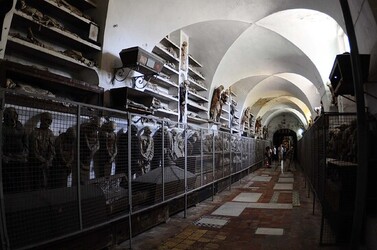 LE CATACOMBE dei cappuccini a Palermo in Sicilia. Fotografie di Giulio Azzarello &copy;2014.