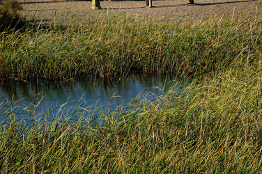 PAESAGGIO SICILIANO nel luogo delle macalube in Sicilia. Fotografie di Giulio Azzarello &copy;2014.