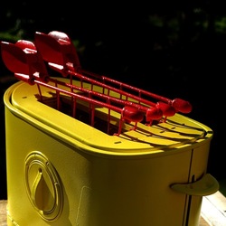 TOAST. Fotografie di Giulio Azzarello &copy;2025.