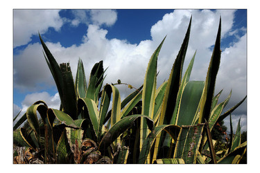 PIRANDELLO docu film di Alberto Castiglione. Fotografie di scena e set di Giulio Azzarello &copy;2014.