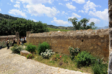VIGNETO AGRITURISTICO PLANETA a Sambuca di Sicilia. Fotografie di Giulio Azzarello &copy;2014.