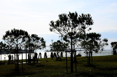 GIARDINI della BIENNALE a Venezia. Foto di Giulio Azzarello &copy;2015 2016.