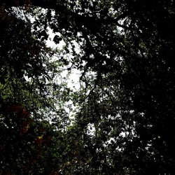 ORTO BOTANICO. Fotografie di Giulio Azzarello &copy;2024.