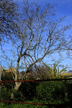 CAMPAGNA fotografie di Giulio Azzarello ©2020.