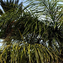 CAMMINANDO. Fotografie di Giulio Azzarello &copy;2024.