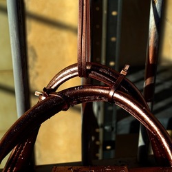 NATURE MORTE. Fotografie di Giulio Azzarello ©2024. NATURE MORTE. Fotografie di Giulio Azzarello ©2024.