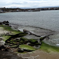 CAMMINANDO. Fotografie di Giulio Azzarello &copy;2024.