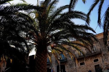 POLIZZI GENEROSA in Sicilia. Fotografie di Giulio Azzarello ©2014. POLIZZI GENEROSA in Sicilia. Fotografie di Giulio Azzarello ©2014.