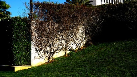 PALERMO. Fotografie di Giulio Azzarello &copy;2022.