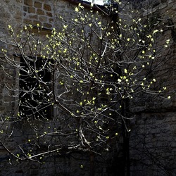 Arabo Normanno. Fotografie di Giulio Azzarello ©2024. Arabo Normanno. Fotografie di Giulio Azzarello ©2024.