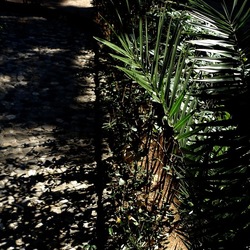 Arabo Normanno. Fotografie di Giulio Azzarello ©2024. Arabo Normanno. Fotografie di Giulio Azzarello ©2024.