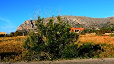 CAPO RAMA riserva naturale Terrasini. Fotografie di Giulio Azzarello &copy;2020.