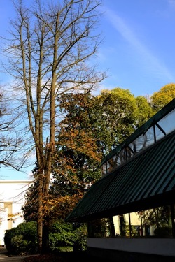 VENEZIA Giardini della Biennale di Arch. Cont.. Fotografie di Giulio Azzarello ©2022.