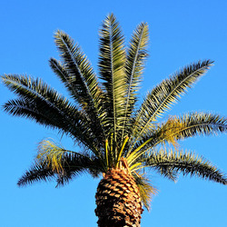 MONDELLO di inverno. Fotografie di Giulio Azzarello &copy;2016.