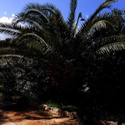 MONDELLO fotografie di Giulio Azzarello ©2021. MONDELLO fotografie di Giulio Azzarello ©2021.