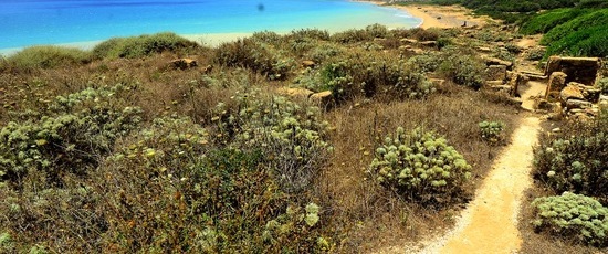 SELINUNTE sito archeologico. Fotografie di Giulio Azzarello ©2018. SELINUNTE sito archeologico. Fotografie di Giulio Azzarello ©2018.