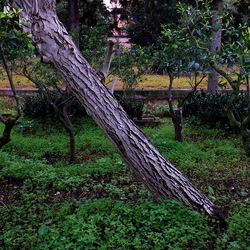 AUTUNNO fotografie di Giulio Azzarello ©2021. AUTUNNO fotografie di Giulio Azzarello ©2021.