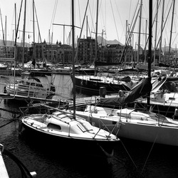 VELA fotografie di Giulio Azzarello ©2021. VELA fotografie di Giulio Azzarello ©2021.
