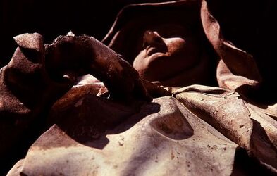 KALSA fotografie di Giulio Azzarello &copy;2020.