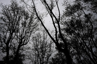 BIENNALE di VENEZIA Arte Contemporanea Giardini. Fotografie di Giulio Azzarello &copy;2020.