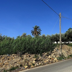 SELINUNTE. Fotografie di Giulio Azzarello ©2022. SELINUNTE. Fotografie di Giulio Azzarello ©2022.