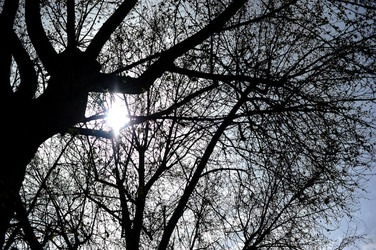 VILLA BONANNO a Palermo. Fotografie di Giulio Azzarello &copy;2016.