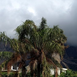 CAMMINANDO. Fotografie di Giulio Azzarello &copy;2024.