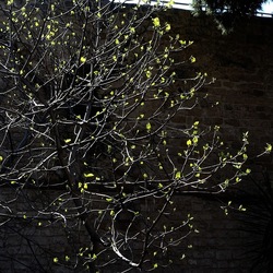 Arabo Normanno. Fotografie di Giulio Azzarello ©2024. Arabo Normanno. Fotografie di Giulio Azzarello ©2024.