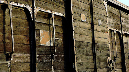 AUSCHHWITZ BIRKENAU la commemorazione. Fotografie di Giulio Azzarello &copy;2016.
