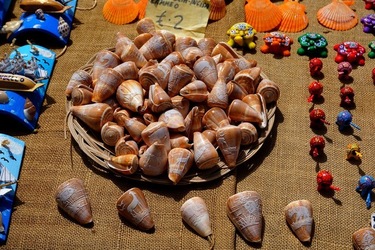 MONDELLO. Fotografie di Giulio Azzarello ©2023. MONDELLO. Fotografie di Giulio Azzarello ©2023.