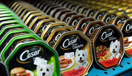 NEGOZIO di ANIMALI. Fotografie di Giulio Azzarello ©2018. NEGOZIO di ANIMALI. Fotografie di Giulio Azzarello ©2018.