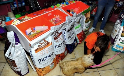 NEGOZIO di ANIMALI. Fotografie di Giulio Azzarello ©2018. NEGOZIO di ANIMALI. Fotografie di Giulio Azzarello ©2018.