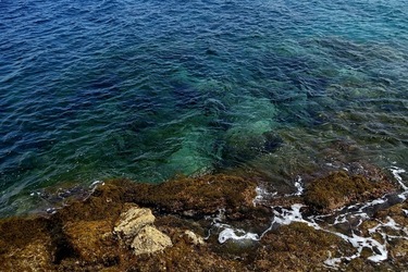 ARENELLA Fotografia di Giulio Azzarello ©2022.