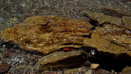 TERRASINI. Fotografie di Giulio Azzarello &copy;2022.