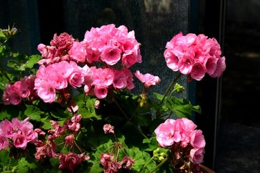 PAOLA PACE attrice. Fotografie di Giulio Azzaello ©2023. PAOLA PACE attrice. Fotografie di Giulio Azzaello ©2023.