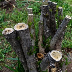 TRONCHI. Fotografie di Giulio Azzarello ©2022.