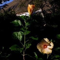 AUTUNNO fotografie di Giulio Azzarello ©2021. AUTUNNO fotografie di Giulio Azzarello ©2021.