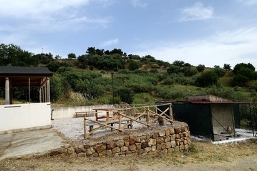 ULIVETO SICILIANO. Fotografie di Giulio Azzarello ©2022.