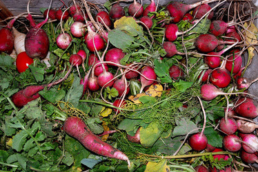 TIPICO FRANTOIO fotografie di Giulio Azzarello ©2014. TIPICO FRANTOIO fotografie di Giulio Azzarello ©2014.