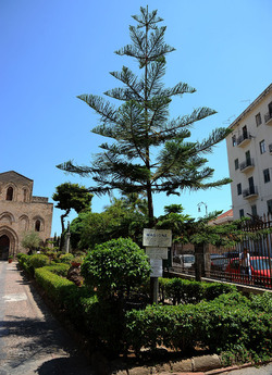 CHIESA E CHIOSTRO DELLA MAGIONE a Palermo panoramiche e particolari. Fotografie di Giulio Azzarello ©2014. CHIESA E CHIOSTRO DELLA MAGIONE a Palermo panoramiche e particolari. Fotografie di Giulio Azzarello ©2014.